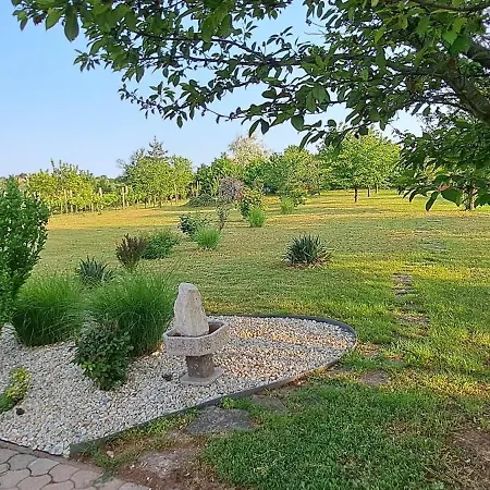 Shining Апартаменты *