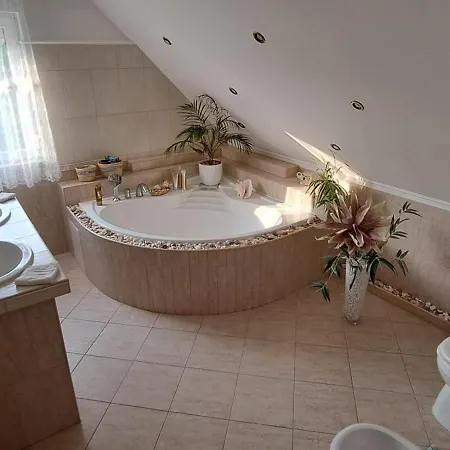 Апартаменты Shining *